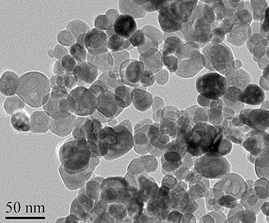 iron oxide nanoparticle