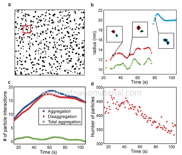 nanoparticles aggregate