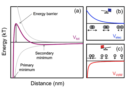 nanoparticles aggregate