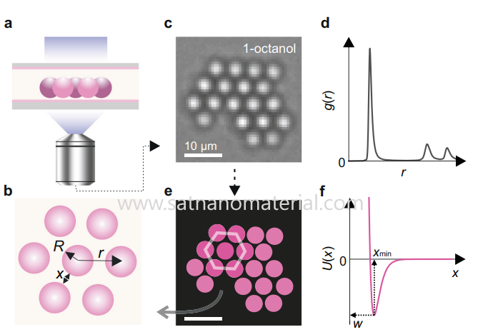 nanoparticles aggregate