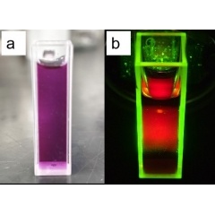 Nanopartículas de punto cuántico de carbono (CQD) de luz roja