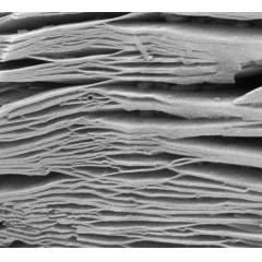 Polvo de nanoescamas multicapa de carburo de titanio Ti3C2Tx MXene