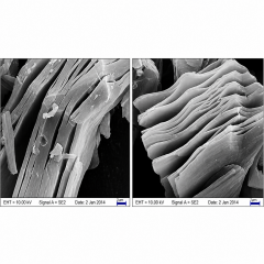 Estructura de arcilla multicapa de carburo de titanio Ti3C2Tx MXene